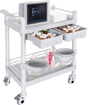 61Ck6kNW+cL._AC_AIweblab1006854,T4_FMavif_SF1050,1050_PQ64_ Medical Mobile Trolley Cart 2-Shelf 220 LBS Max Load Rolling Utility Cart Heavy Duty Beauty Salon Storage Cart with Drawers Dirt Buckets Rotate Wheels 2 Brake for Hospital Dental Clinic Home
