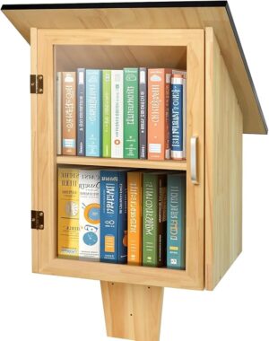 Outdoor Library Book Box, Double Little Library for Sharing Books