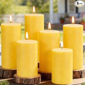 71zHrY00ZzL._AC_SX679_PIbundle-6,TopRight,0,0_SH20_ Citronella Candles Outdoor - Set of 6