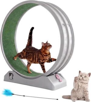 Cat Exercise Wheel, 31.5 Inch Indoor Treadmill for Cats with Carpeted Runway, Screw-Fixed Assembly for Easy Setup, Silent & Safe Fitness Equipment for Most Cats