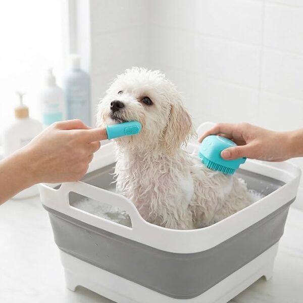 Collapsible Cat Puppy Bath Tub: Portable Small Dog Bathtub, Shampoo Brush & Toothbrush Set - Pet Shower Tub for Chihuahua, Yorkie, Pomeranian, Bichon, Maltese, Shih Tzu, Toy Poodle & Boston Bathing