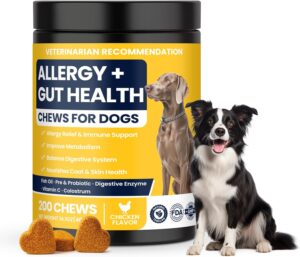 Allergy Chews for Dogs – Probiotics for Dog Allergies, Itchy Skin, Licking & Seasonal Sensitivity