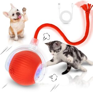 Interactive Cat Toys for Indoor Cats Smart