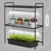SOLIGT Tabletop 2-Tier Plant Stand Shelf with Grow Lights, 36W Full Spectrum 5000K